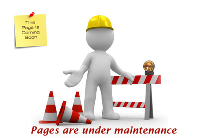 PinnacleInfo Systems